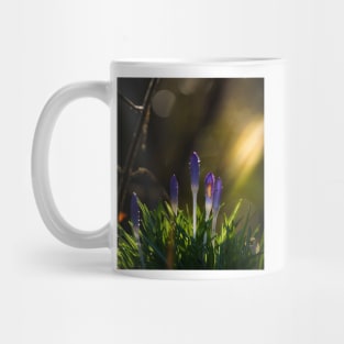 Crocus Mug